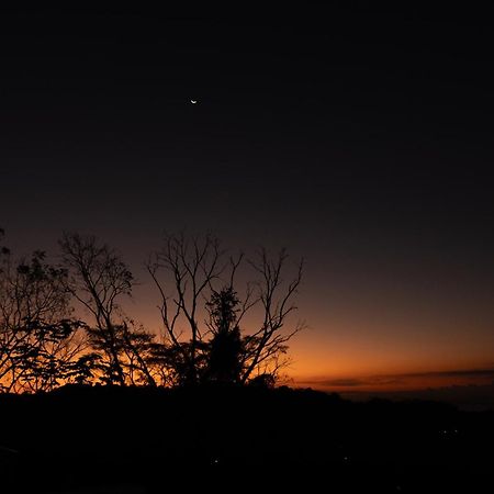 Vida Palace Jacó Dış mekan fotoğraf